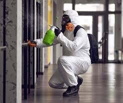 Trusted Kaukauna, WI Mold Removal & Remediation Experts